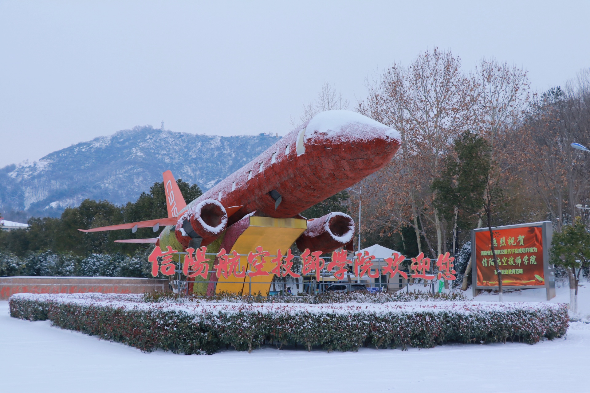 1773370904363446.jpg d2f216635039ce8f534202e47966f0e6.jpg